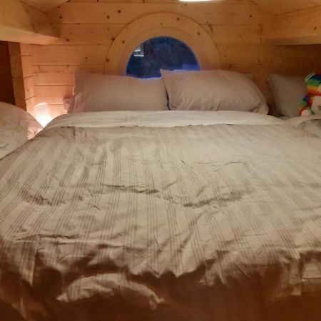 Springbank Cabin Insch Bagian luar foto