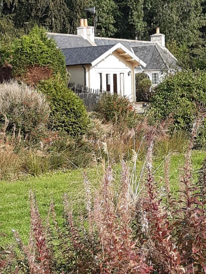 Springbank Cabin Insch Bagian luar foto